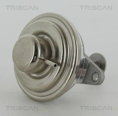 Triscan 8813 24054 Клапан рециркуляции отработанных газов EGR 881324054: Отличная цена - Купить в Польше на 2407.PL!