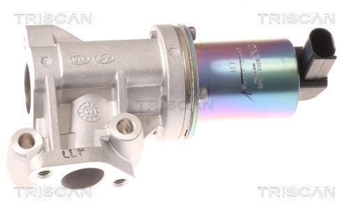 Triscan 8813 43001 Клапан рециркуляции отработанных газов EGR 881343001: Отличная цена - Купить в Польше на 2407.PL!