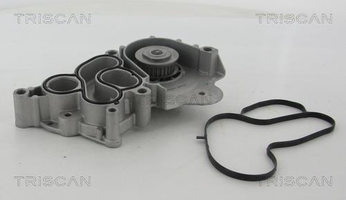 Triscan 8600 29061 Water pump 860029061: Buy near me in Poland at 2407.PL - Good price!