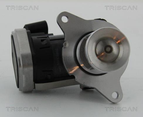 Triscan 8813 23006 Клапан рециркуляции отработанных газов EGR 881323006: Купить в Польше - Отличная цена на 2407.PL!