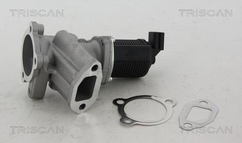 Triscan 8813 24012 EGR Valve 881324012: Buy near me in Poland at 2407.PL - Good price!