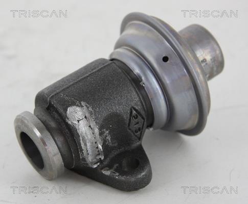Triscan 8813 25006 Клапан рециркуляції відпрацьованих газів EGR 881325006: Купити у Польщі - Добра ціна на 2407.PL!