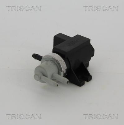 Triscan 8813 29103 Exhaust gas recirculation control valve 881329103: Buy near me in Poland at 2407.PL - Good price!