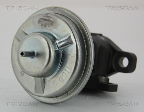 Triscan 8813 43003 Клапан рециркуляції відпрацьованих газів EGR 881343003: Купити у Польщі - Добра ціна на 2407.PL!