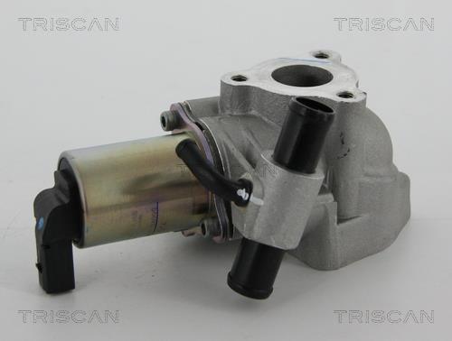 Triscan 8813 43020 EGR Valve 881343020: Buy near me in Poland at 2407.PL - Good price!