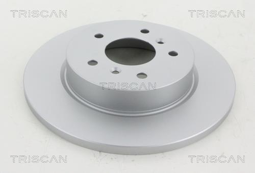 Triscan 8120 101087C Rear brake disc, non-ventilated 8120101087C: Buy near me in Poland at 2407.PL - Good price!