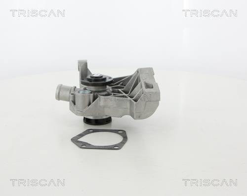 Triscan 8600 29036HD Water pump 860029036HD: Buy near me in Poland at 2407.PL - Good price!