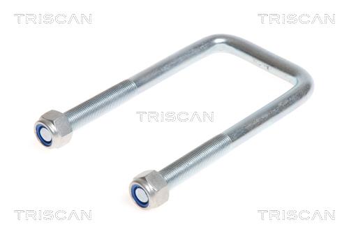 Triscan 8765 100012 U-bolt for Springs 8765100012: Buy near me in Poland at 2407.PL - Good price!