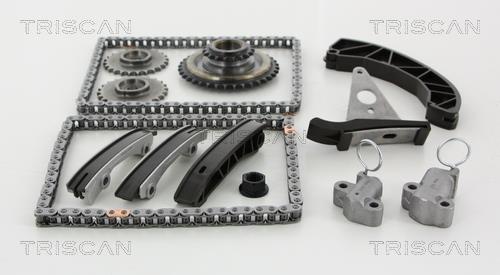 Triscan 8650 43003 Timing chain kit 865043003: Buy near me in Poland at 2407.PL - Good price!