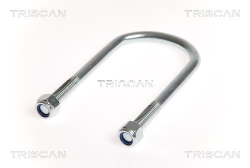 Triscan 8765 100011 U-bolt for Springs 8765100011: Buy near me in Poland at 2407.PL - Good price!