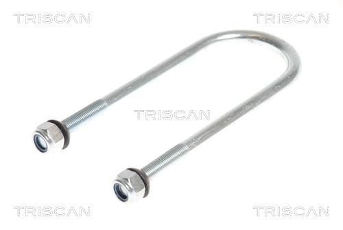 Triscan 8765 100015 U-bolt for Springs 8765100015: Buy near me in Poland at 2407.PL - Good price!