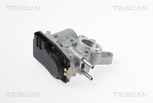 Triscan 8813 14100 EGR Valve 881314100: Buy near me at 2407.PL in Poland at an Affordable price!