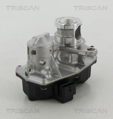 Triscan 8813 25042 Клапан рециркуляции отработанных газов EGR 881325042: Отличная цена - Купить в Польше на 2407.PL!