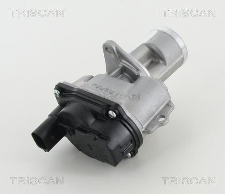 Triscan 8813 29065 Клапан рециркуляції відпрацьованих газів EGR 881329065: Купити у Польщі - Добра ціна на 2407.PL!