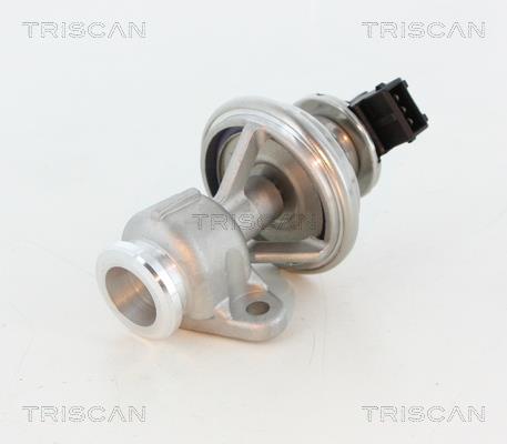 Triscan 8813 44010 Клапан рециркуляции отработанных газов EGR 881344010: Отличная цена - Купить в Польше на 2407.PL!