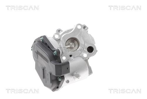Triscan 8813 23015 Клапан рециркуляции отработанных газов EGR 881323015: Отличная цена - Купить в Польше на 2407.PL!