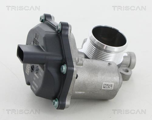Triscan 8813 29315 Клапан рециркуляции отработанных газов EGR 881329315: Отличная цена - Купить в Польше на 2407.PL!