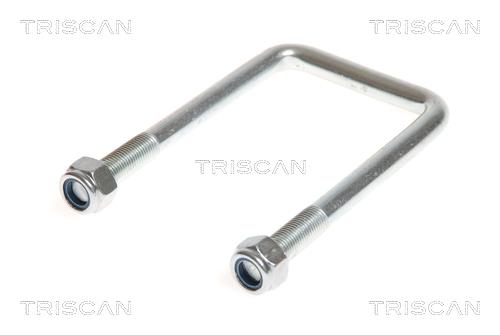 Triscan 8765 100013 U-bolt for Springs 8765100013: Buy near me in Poland at 2407.PL - Good price!
