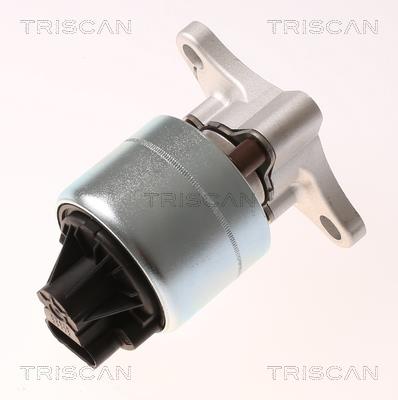 Triscan 8813 21026 Клапан рециркуляції відпрацьованих газів EGR 881321026: Приваблива ціна - Купити у Польщі на 2407.PL!