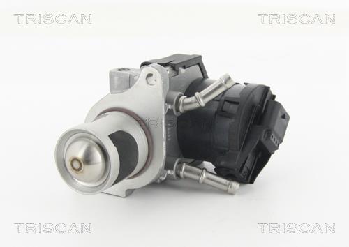 Triscan 8813 11001 EGR Valve 881311001: Buy near me in Poland at 2407.PL - Good price!