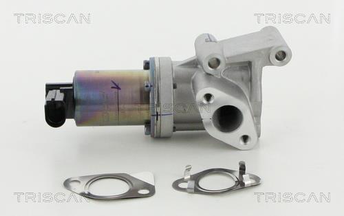 Triscan 8813 18038 EGR Valve 881318038: Buy near me at 2407.PL in Poland at an Affordable price!