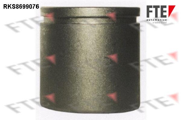 FTE RKS8699076 Brake caliper piston RKS8699076: Buy near me in Poland at 2407.PL - Good price!