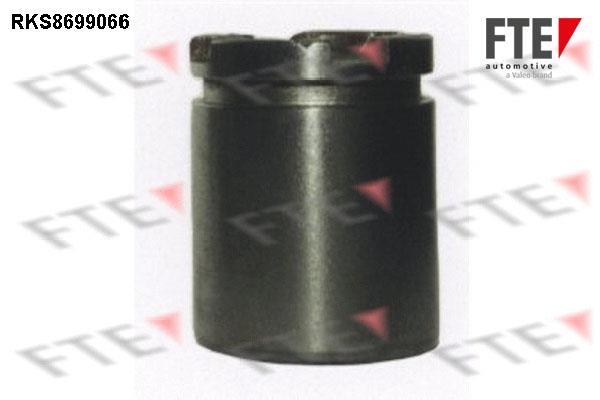 FTE RKS8699066 Brake caliper piston RKS8699066: Buy near me in Poland at 2407.PL - Good price!