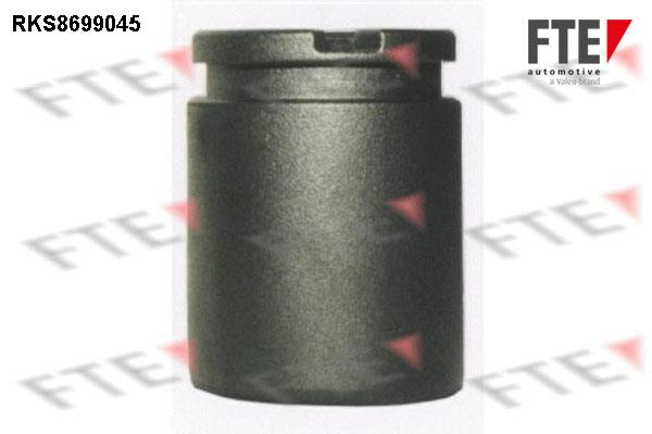 FTE RKS8699045 Brake caliper piston RKS8699045: Buy near me in Poland at 2407.PL - Good price!