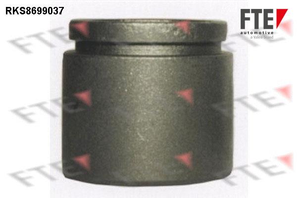 FTE RKS8699037 Brake caliper piston RKS8699037: Buy near me at 2407.PL in Poland at an Affordable price!