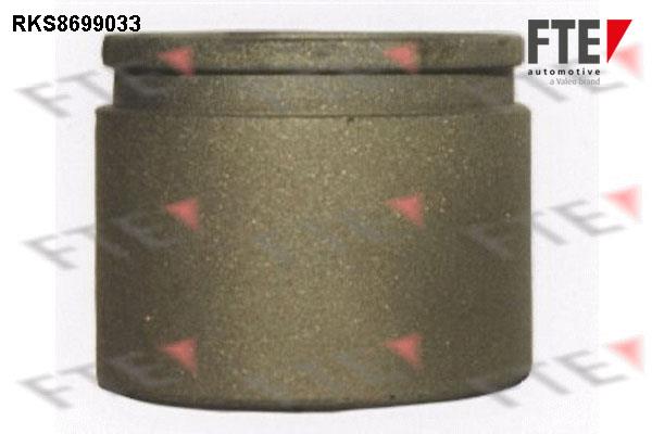 FTE RKS8699033 Brake caliper piston RKS8699033: Buy near me in Poland at 2407.PL - Good price!