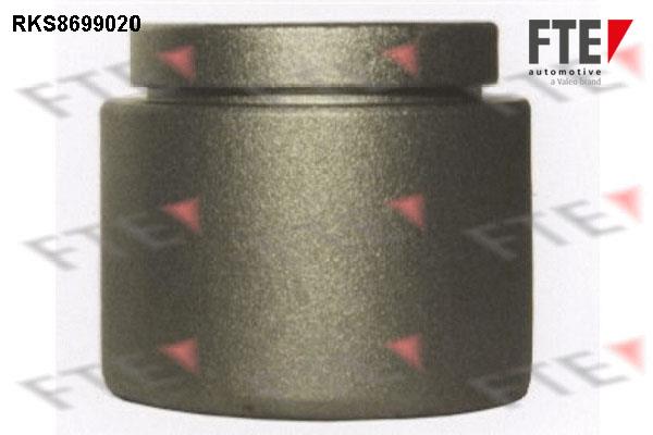 FTE RKS8699020 Brake caliper piston RKS8699020: Buy near me in Poland at 2407.PL - Good price!