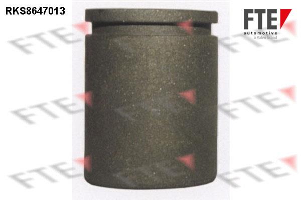 FTE RKS8647013 Brake caliper piston RKS8647013: Buy near me at 2407.PL in Poland at an Affordable price!