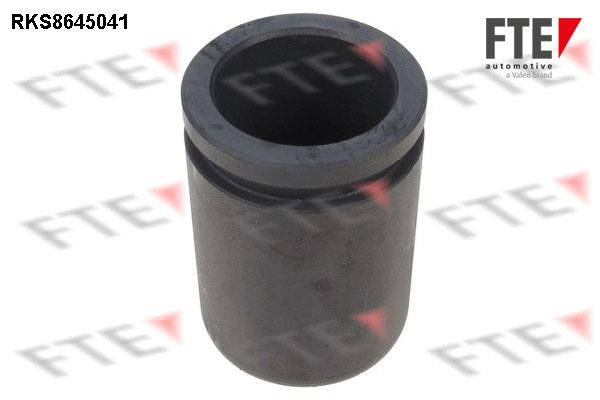 FTE RKS8645041 Brake caliper piston RKS8645041: Buy near me in Poland at 2407.PL - Good price!
