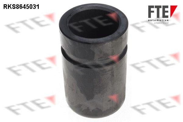 FTE RKS8645031 Brake caliper piston RKS8645031: Buy near me in Poland at 2407.PL - Good price!