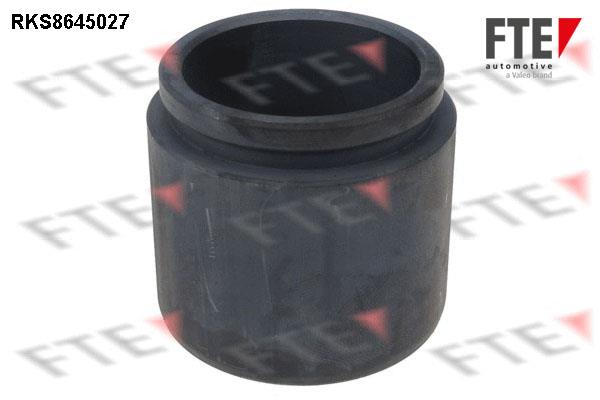 FTE RKS8645027 Brake caliper piston RKS8645027: Buy near me in Poland at 2407.PL - Good price!