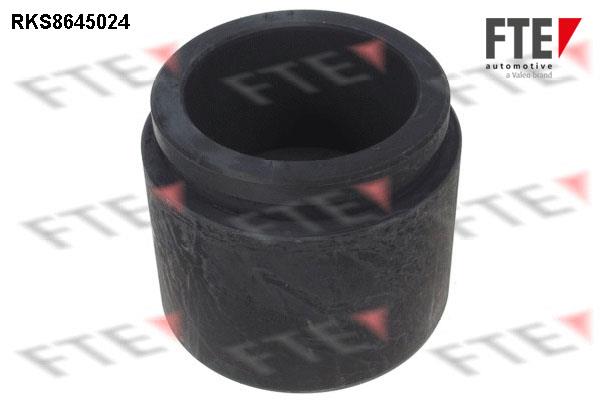 FTE RKS8645024 Brake caliper piston RKS8645024: Buy near me in Poland at 2407.PL - Good price!