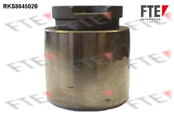 FTE RKS8645020 Brake caliper piston RKS8645020: Buy near me in Poland at 2407.PL - Good price!