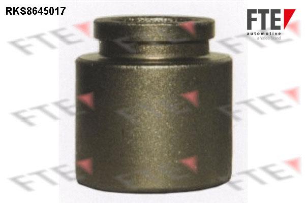FTE RKS8645017 Brake caliper piston RKS8645017: Buy near me in Poland at 2407.PL - Good price!