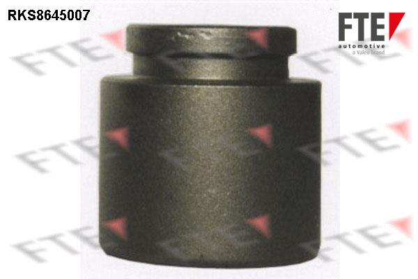 FTE RKS8645007 Brake caliper piston RKS8645007: Buy near me in Poland at 2407.PL - Good price!