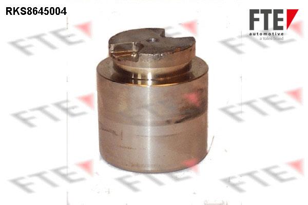 FTE RKS8645004 Brake caliper piston RKS8645004: Buy near me in Poland at 2407.PL - Good price!