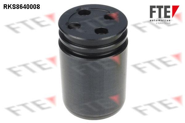 FTE RKS8640008 Brake caliper piston RKS8640008: Buy near me in Poland at 2407.PL - Good price!