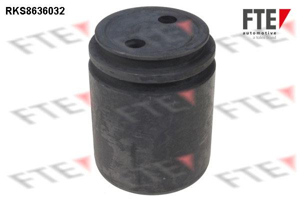 FTE RKS8636032 Brake caliper piston RKS8636032: Buy near me in Poland at 2407.PL - Good price!
