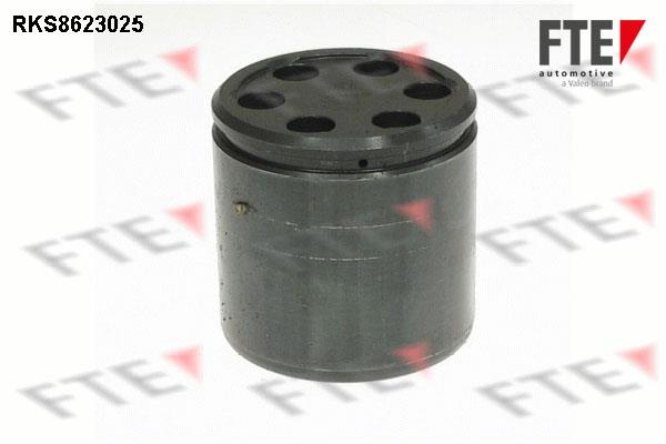 FTE RKS8623025 Brake caliper piston RKS8623025: Buy near me in Poland at 2407.PL - Good price!