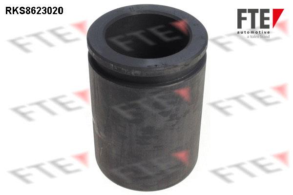 FTE RKS8623020 Brake caliper piston RKS8623020: Buy near me in Poland at 2407.PL - Good price!