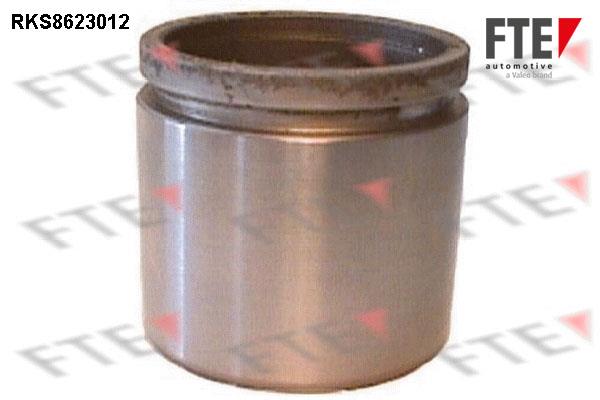 FTE RKS8623012 Brake caliper piston RKS8623012: Buy near me in Poland at 2407.PL - Good price!