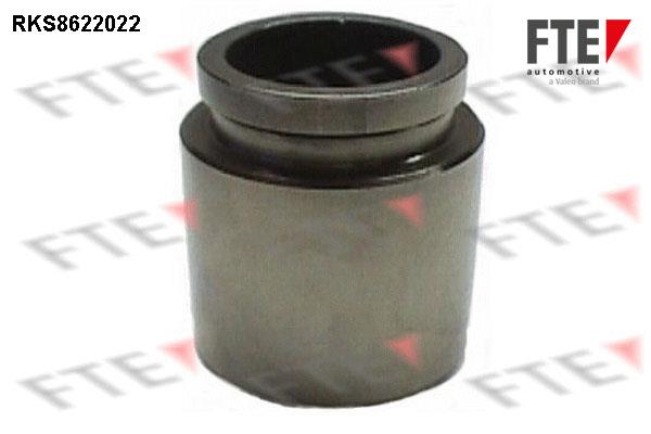 FTE RKS8622022 Brake caliper piston RKS8622022: Buy near me in Poland at 2407.PL - Good price!