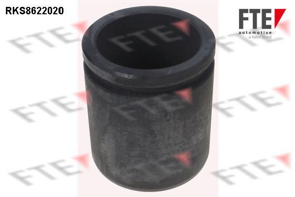 FTE RKS8622020 Brake caliper piston RKS8622020: Buy near me in Poland at 2407.PL - Good price!