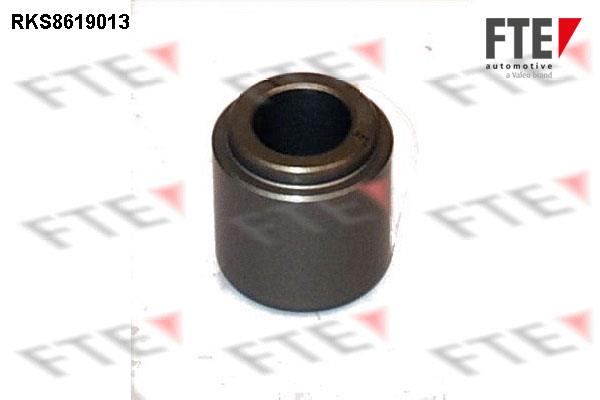 FTE RKS8619013 Brake caliper piston RKS8619013: Buy near me in Poland at 2407.PL - Good price!