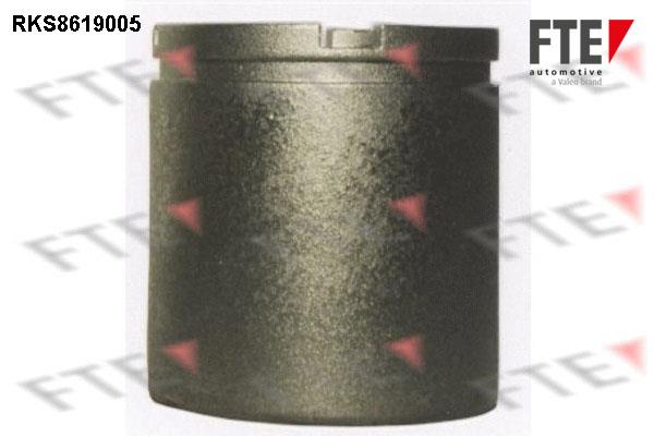 FTE RKS8619005 Brake caliper piston RKS8619005: Buy near me in Poland at 2407.PL - Good price!