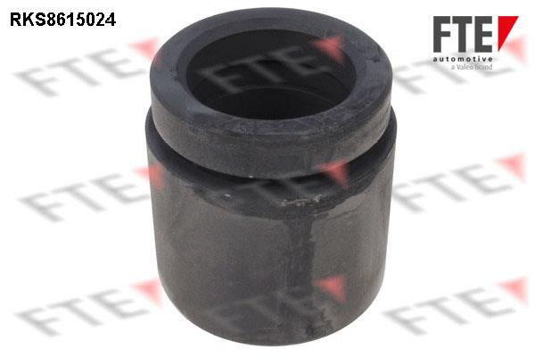 FTE RKS8615024 Brake caliper piston RKS8615024: Buy near me in Poland at 2407.PL - Good price!
